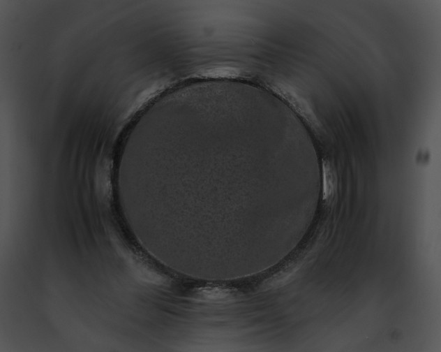 X0000091480300200708301920