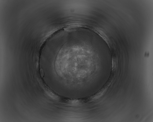 X0000091480301200708301920