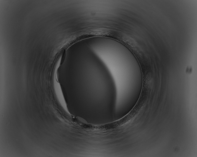 X0000091480303200708301920