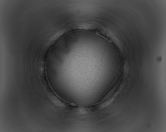 X0000091480305200708301920