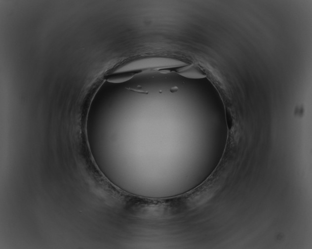 X0000091480306200708301920