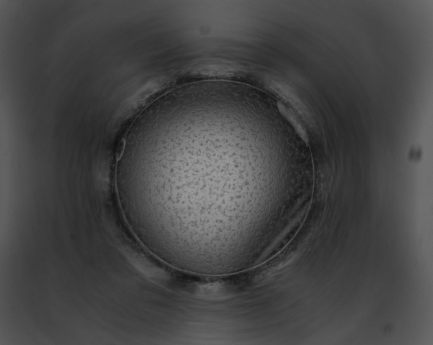 X0000091480309200708301920