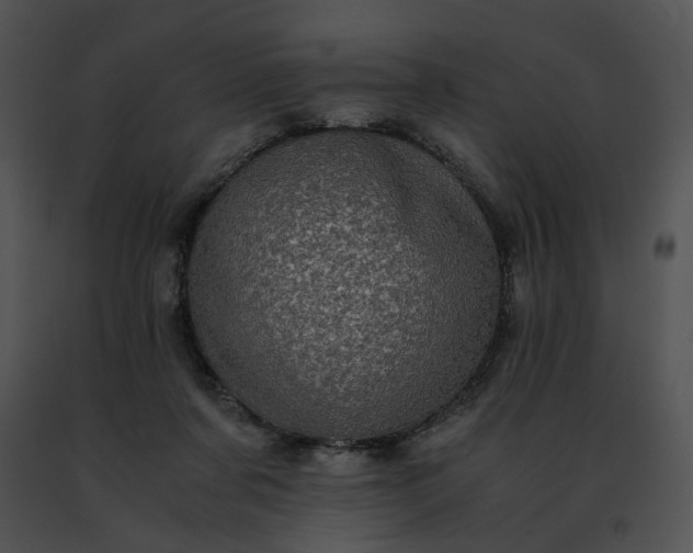 X0000091480311200708301920