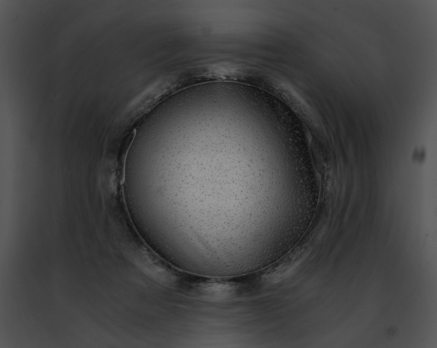 X0000091480313200708301920