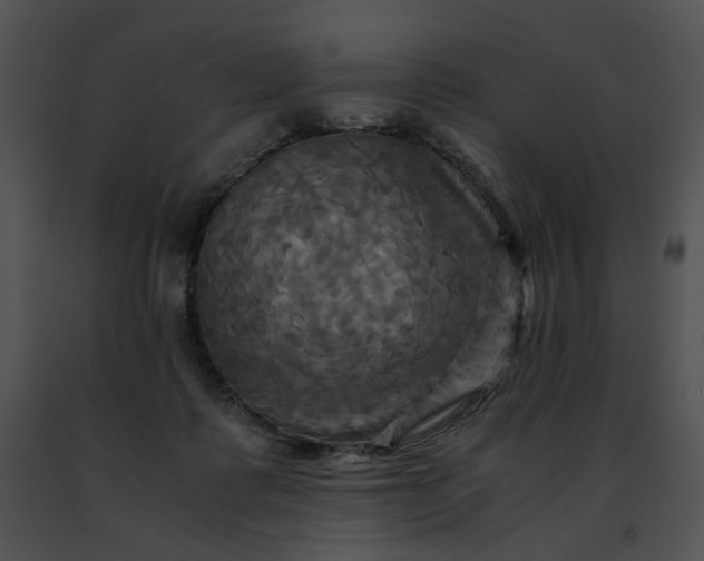 X0000091480315200708301920