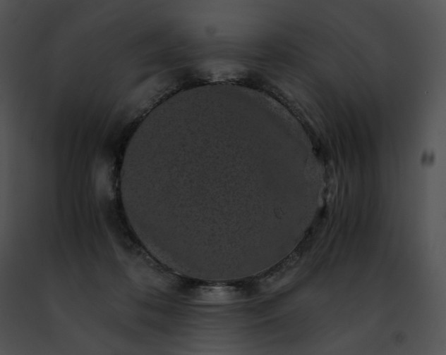 X0000091480316200708301920