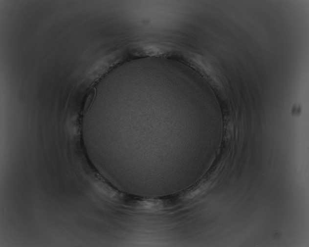 X0000091480317200708301920