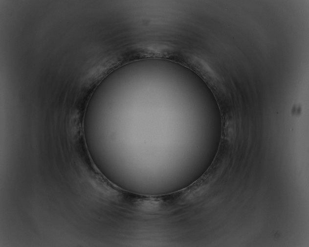 X0000091480318200708301920