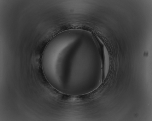 X0000091480319200708301920