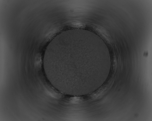 X0000091480320200708301920