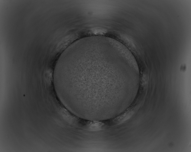 X0000091480321200708301920