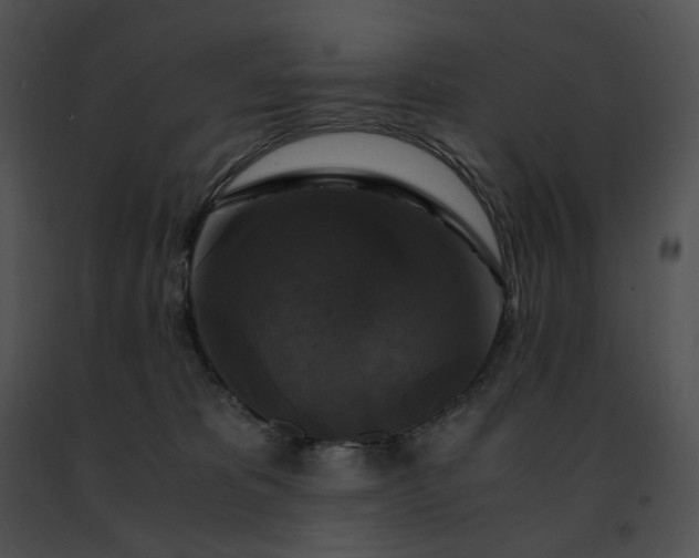 X0000091480325200708301920