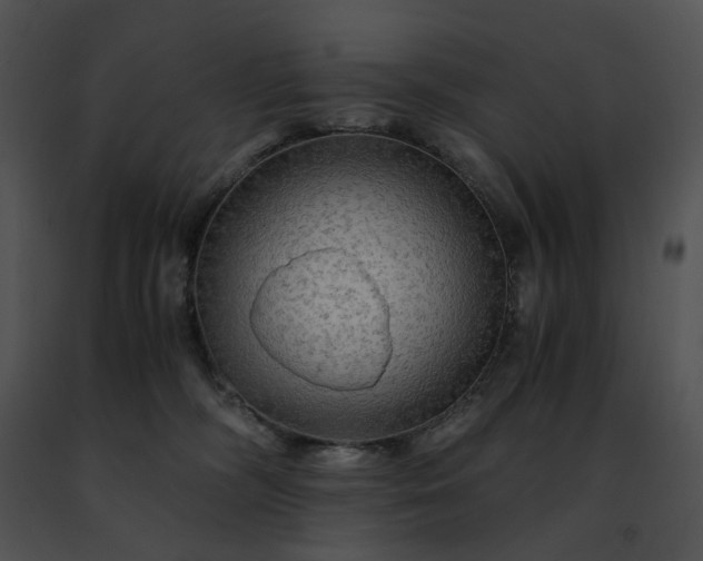 X0000091480326200708301920