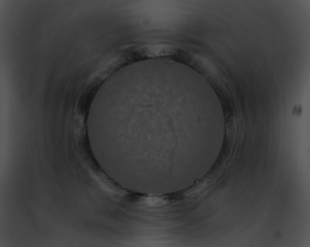 X0000091480327200708301920