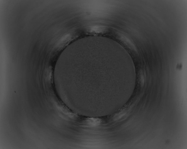 X0000091480328200708301920