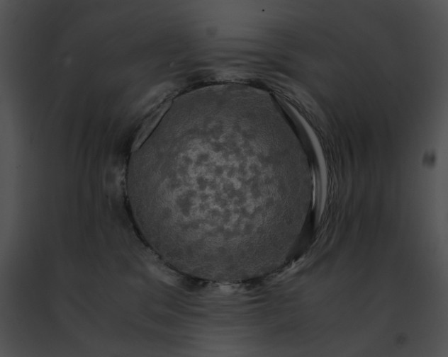 X0000091480329200708301920