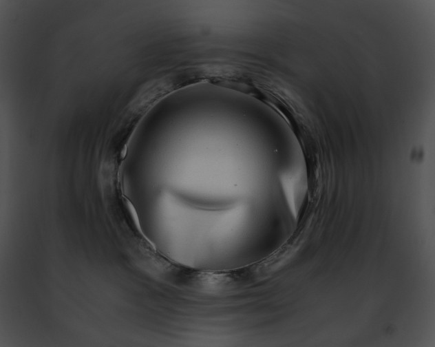 X0000091480333200708301920