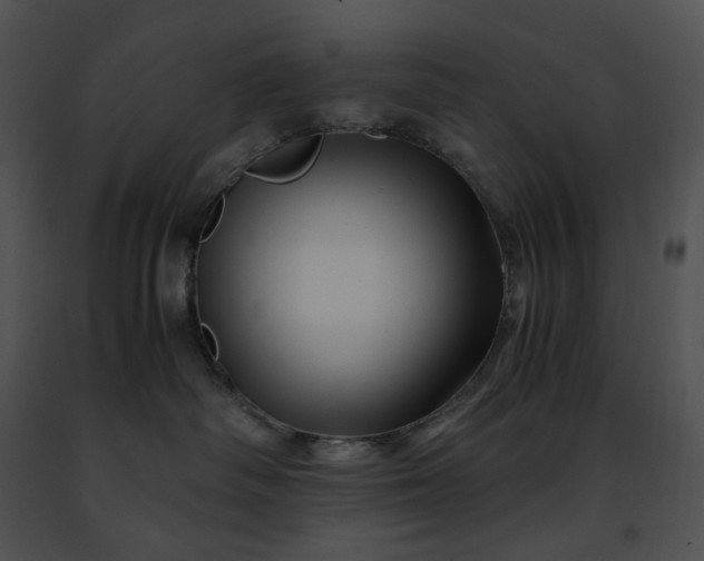 X0000091480334200708301920