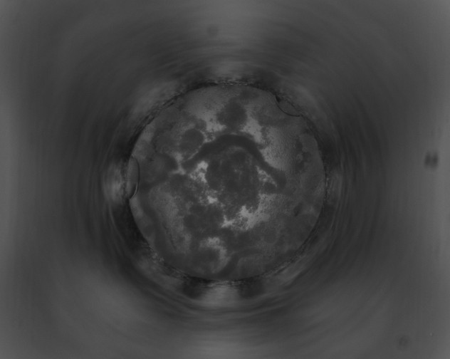 X0000091480335200708301920