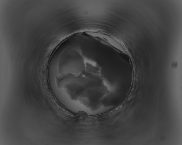 X0000091480337200708301919