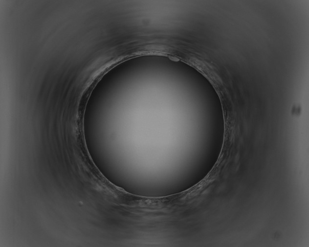 X0000091480338200708301919