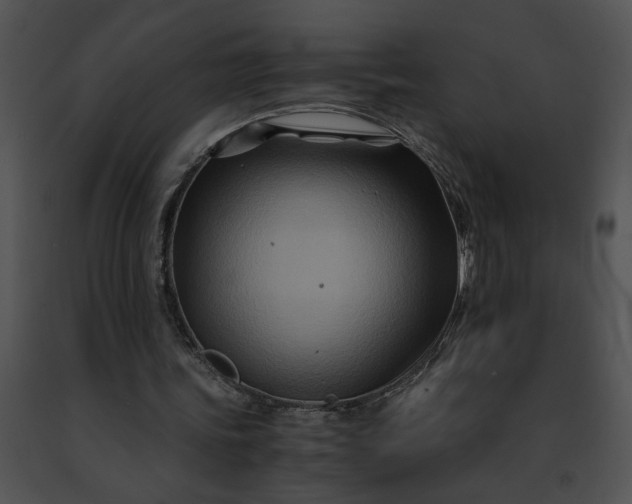 X0000091480339200708301919