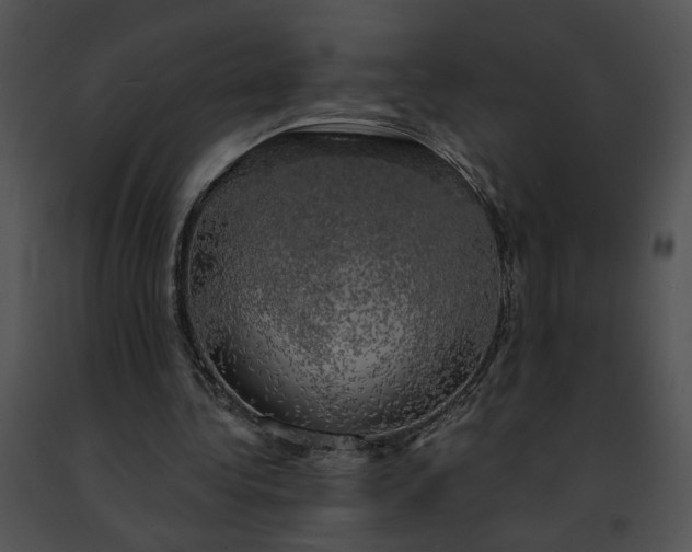 X0000091480340200708301919