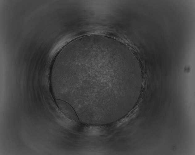 X0000091480341200708301919