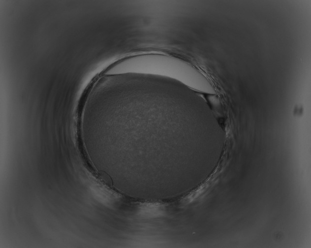 X0000091480342200708301919