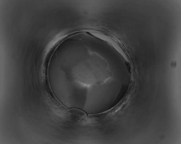 X0000091480343200708301919