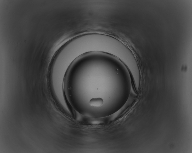 X0000091480344200708301919