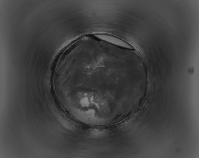 X0000091480346200708301919