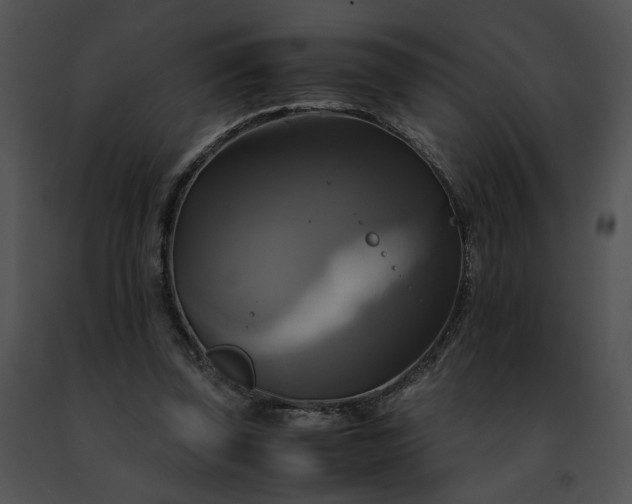 X0000091480347200708301919