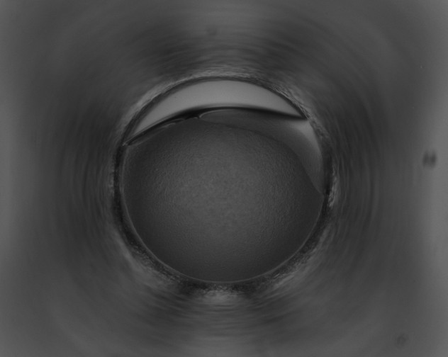 X0000091480348200708301919