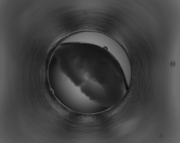 X0000091480349200708301919