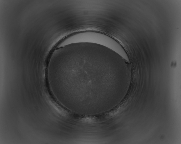 X0000091480350200708301919