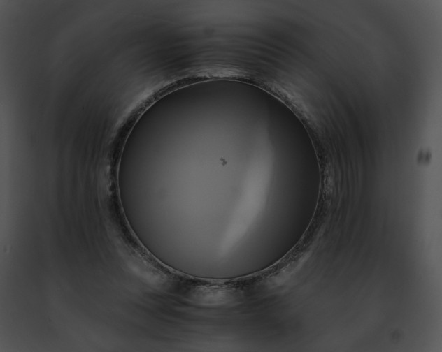 X0000091480351200708301919