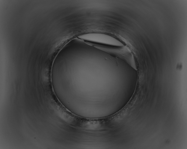 X0000091480353200708301919