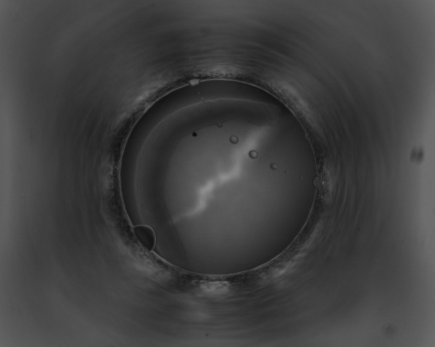 X0000091480355200708301919