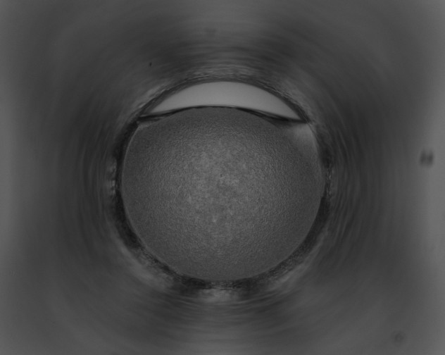 X0000091480356200708301919