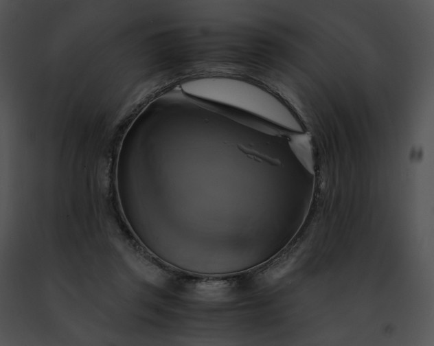 X0000091480357200708301919