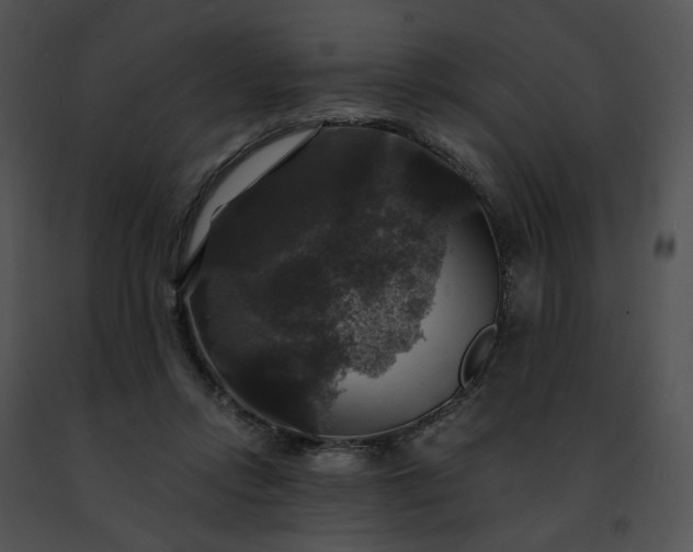 X0000091480358200708301919