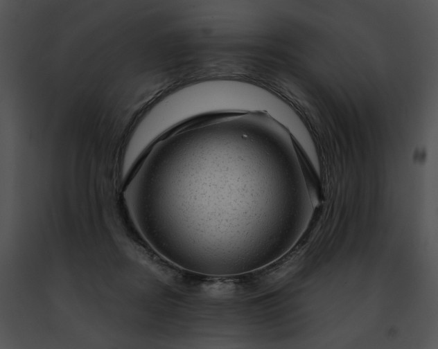 X0000091480362200708301919