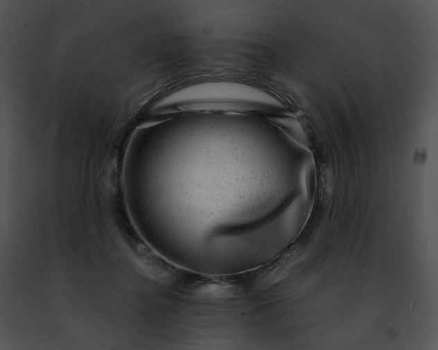 X0000091480364200708301919