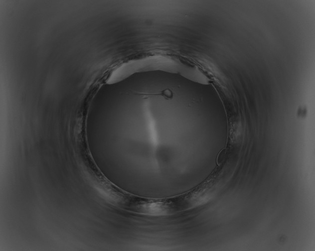 X0000091480365200708301919