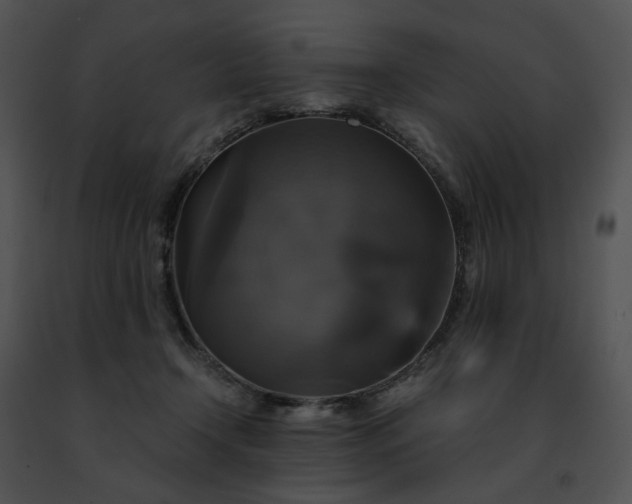 X0000091480366200708301919