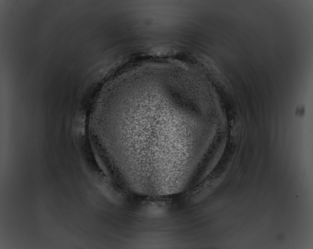 X0000091480368200708301919