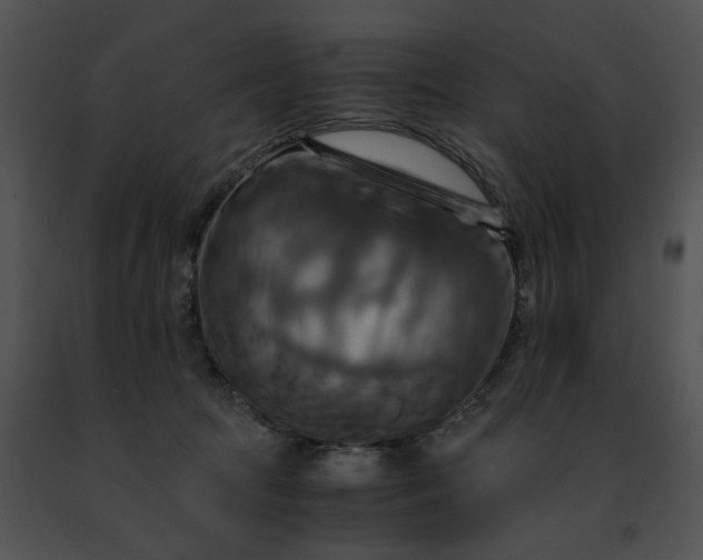 X0000091480369200708301919