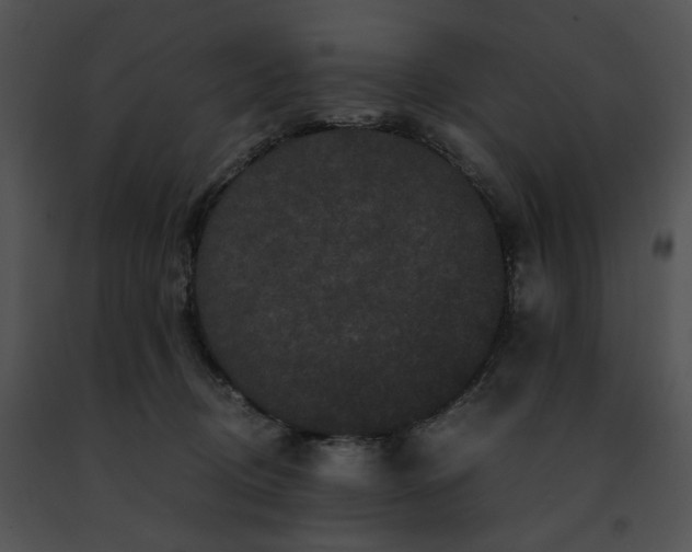 X0000091480370200708301919