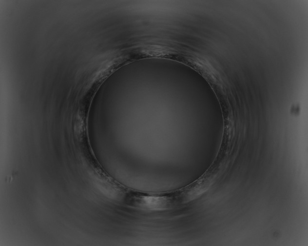 X0000091480371200708301919